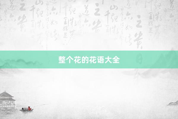 整个花的花语大全