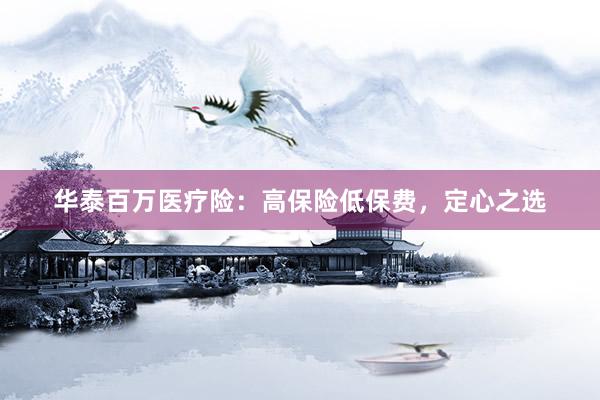 华泰百万医疗险：高保险低保费，定心之选