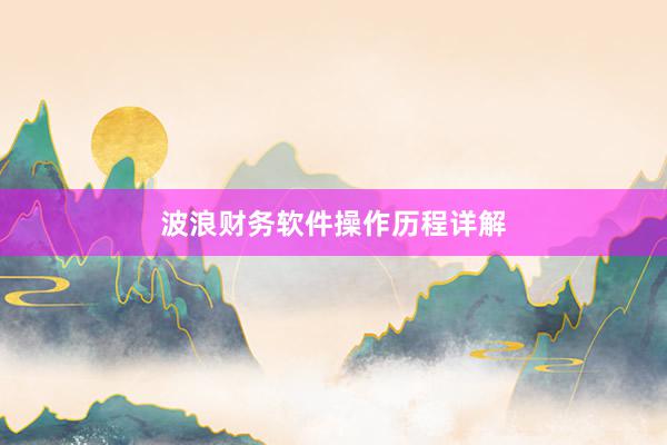 波浪财务软件操作历程详解